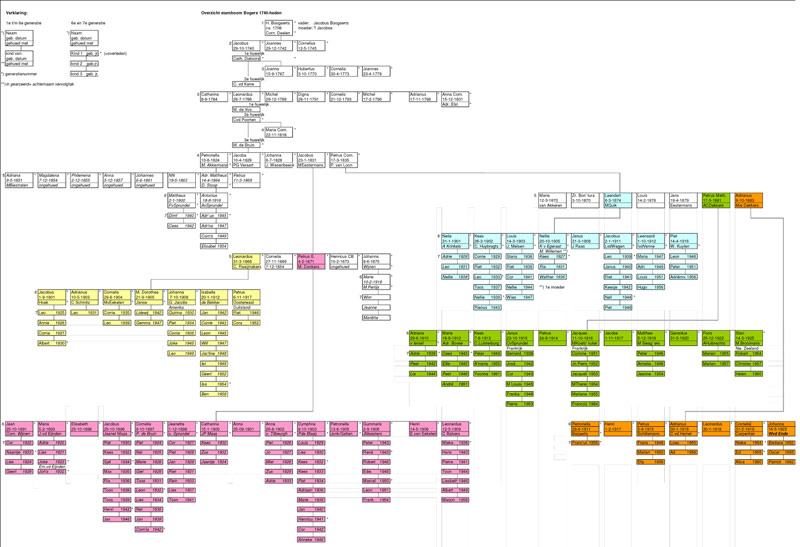 stamboom grafisch bogers